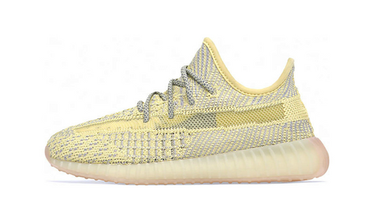Adidas Yeezy Boost 350 V2 'Antlia' Copii